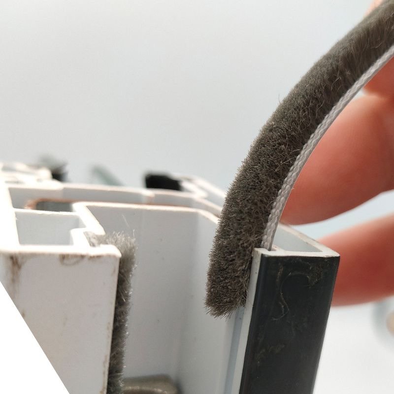 img 9889(20230920 021142)