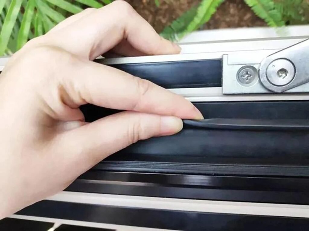 微信图片 20241024192439